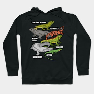 Reptile Species Kids Herpetology Lizard Gecko Reptiles Hoodie